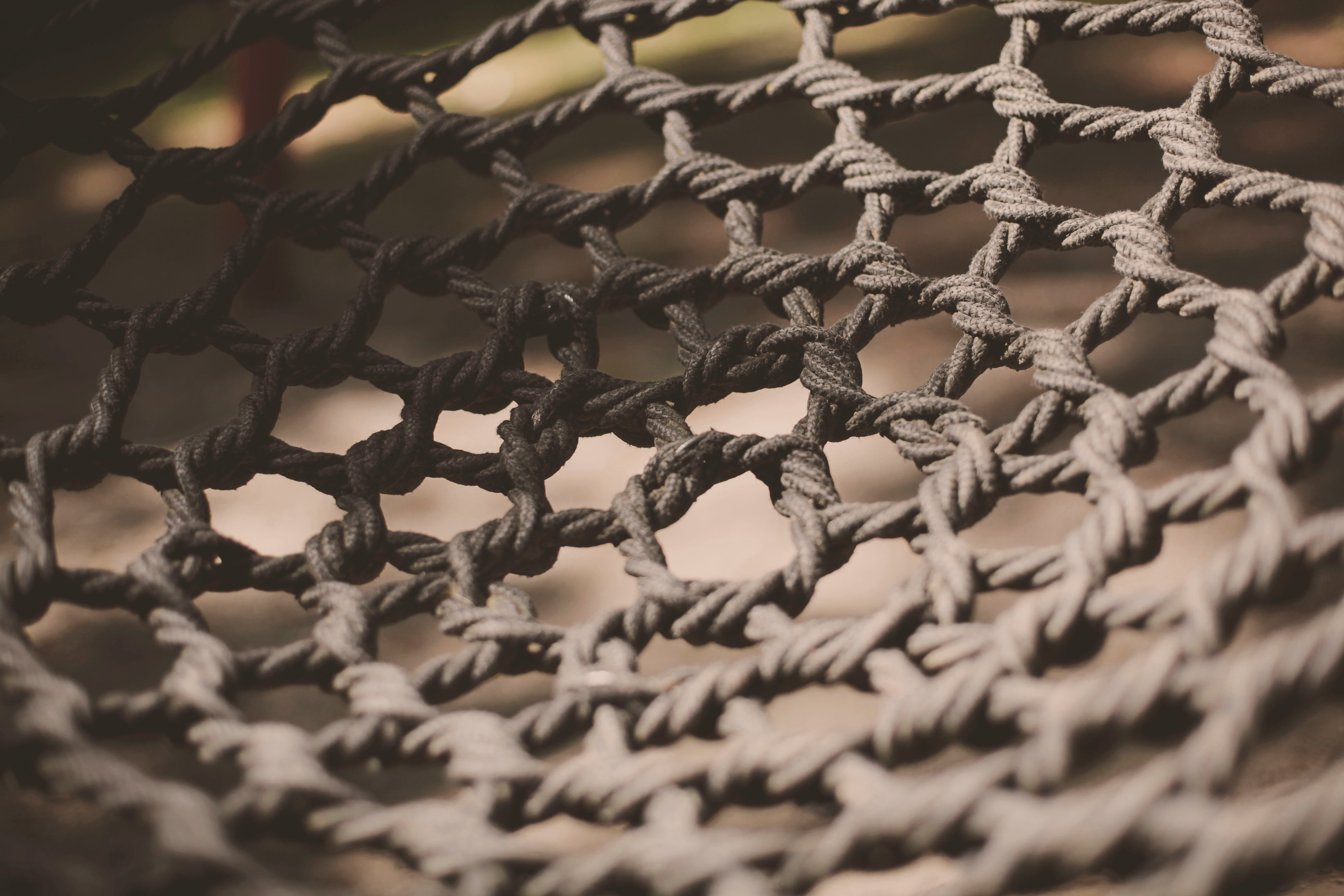 The Authority of Genuine Experience