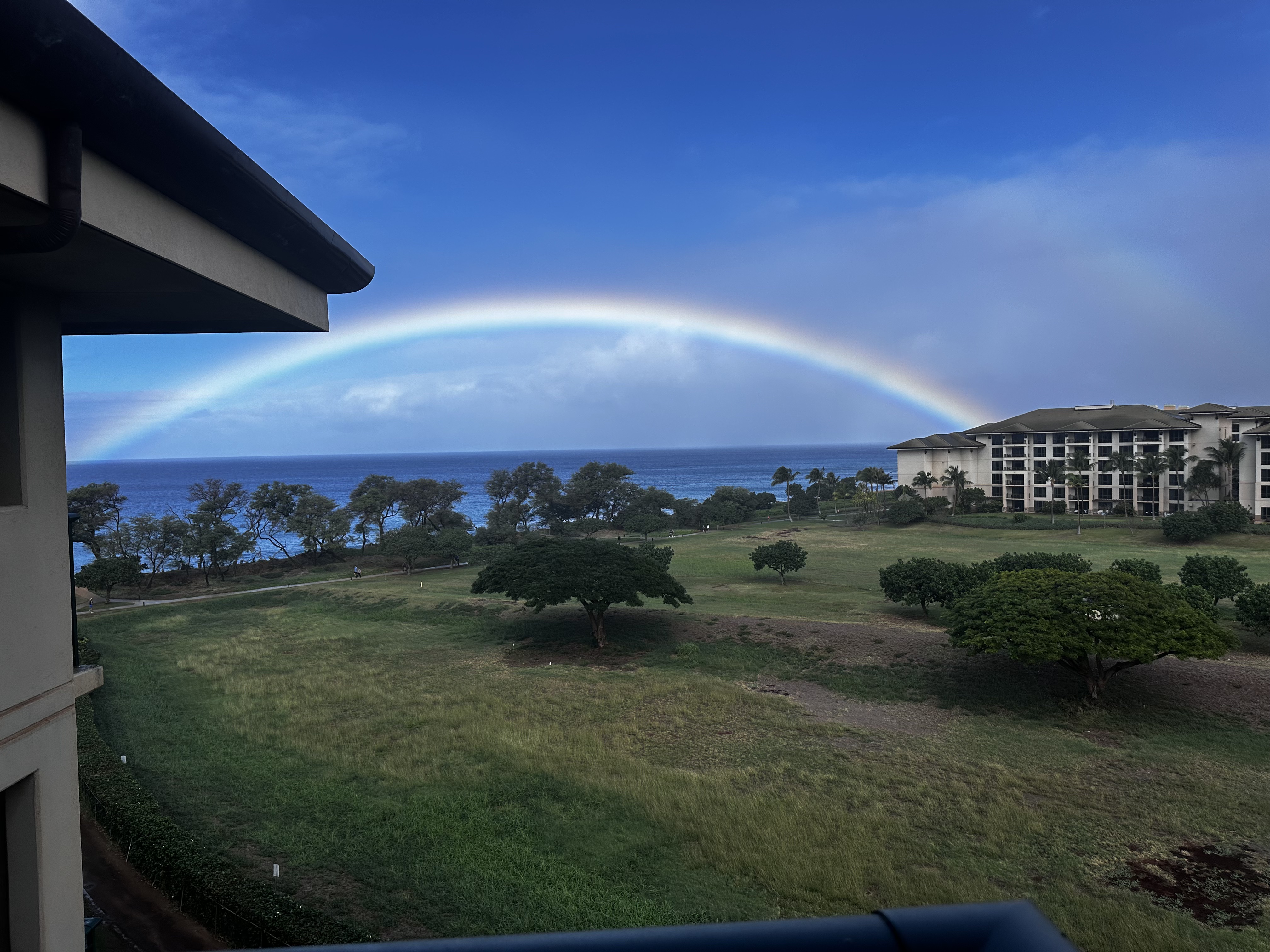 What Completes Itself